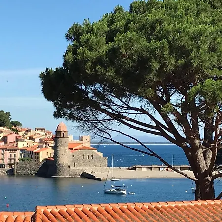 Le Jardin Suspendu Apartment Collioure Exterior photo